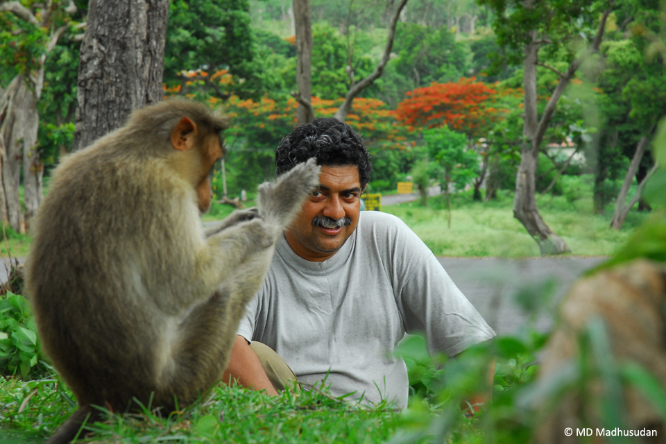 Rana’s Tales – Decoding Monkey Behaviour - JLR Explore